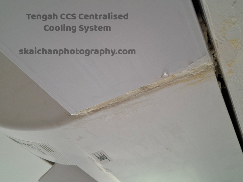 ccs condensation